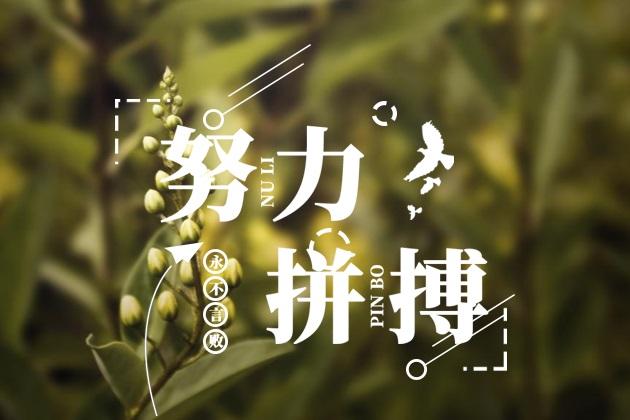  給我一份信任，還你10分滿意(圖3)